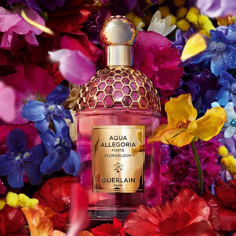 douglas guerlain aqua allegoria
